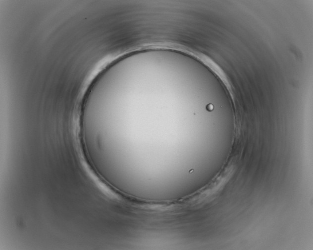 X0000113981005200910161618