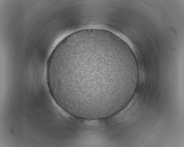 X0000113981006200910161618