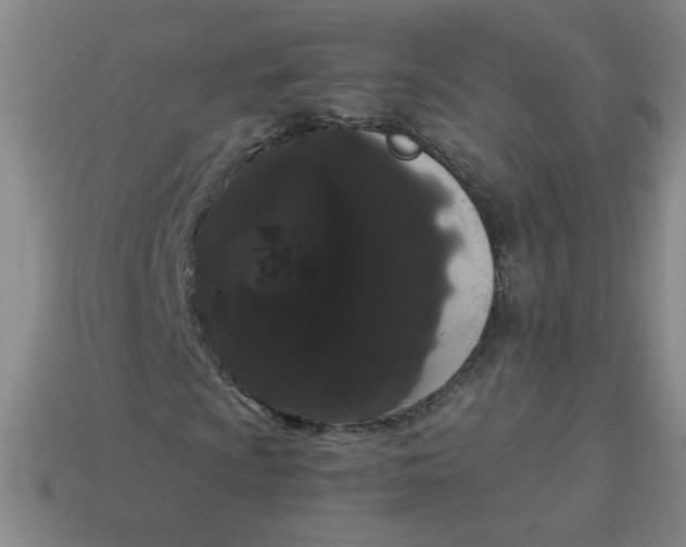 X0000113981009200910161618