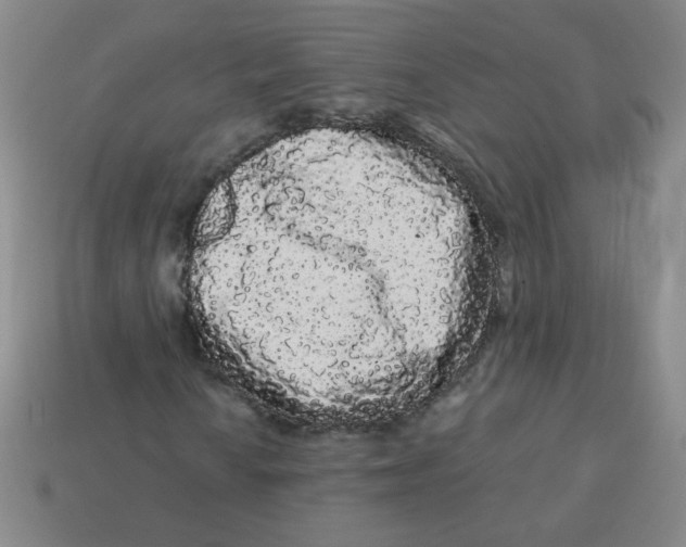 X0000113981010200910161618