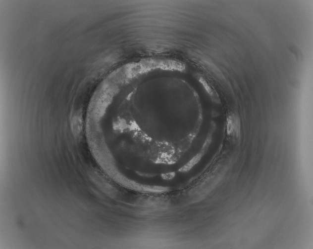 X0000113981011200910161618