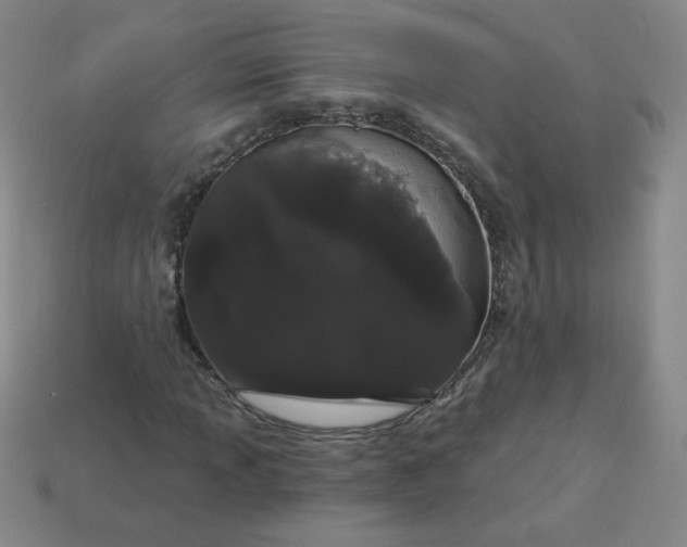 X0000113981013200910161618