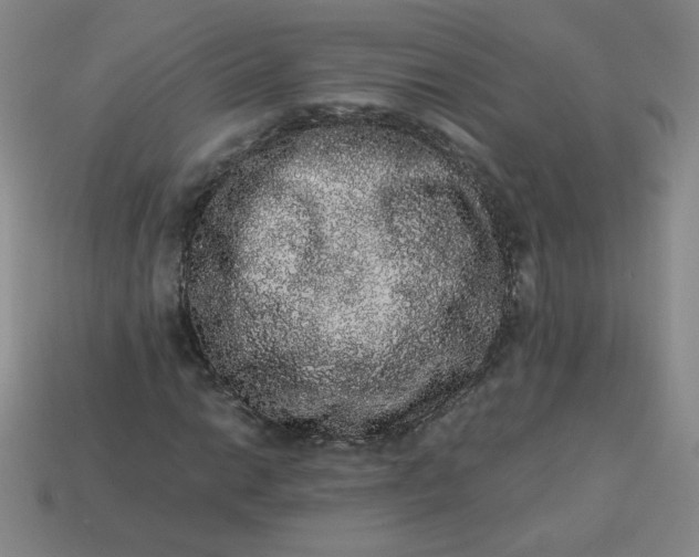 X0000113981014200910161618