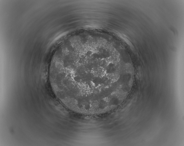 X0000113981015200910161618