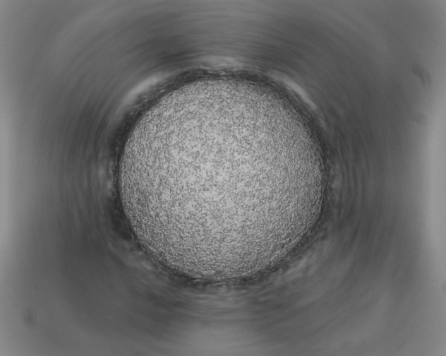 X0000113981016200910161618