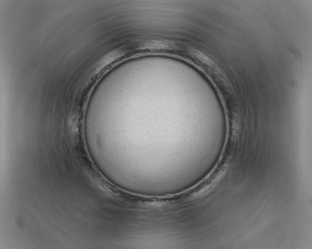 X0000113981017200910161618