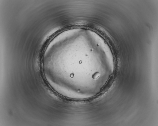 X0000113981018200910161618