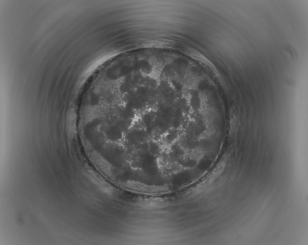 X0000113981019200910161618