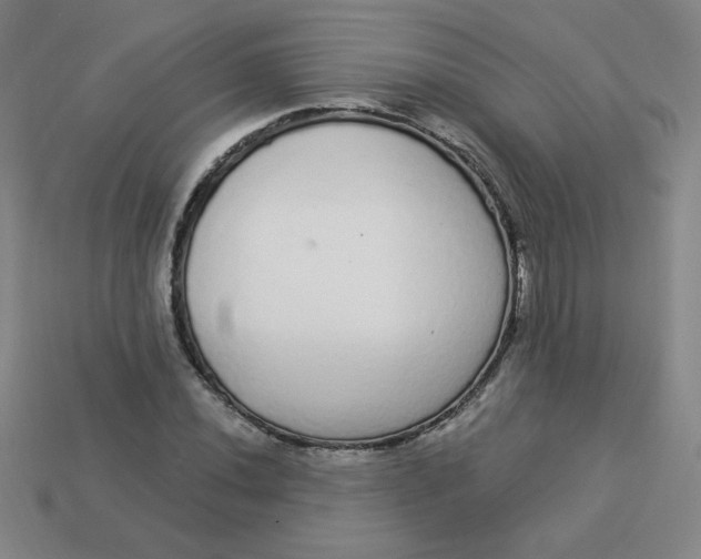 X0000113981020200910161618