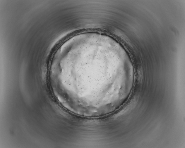 X0000113981021200910161618