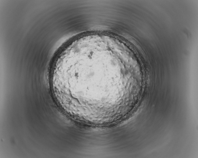 X0000113981022200910161618