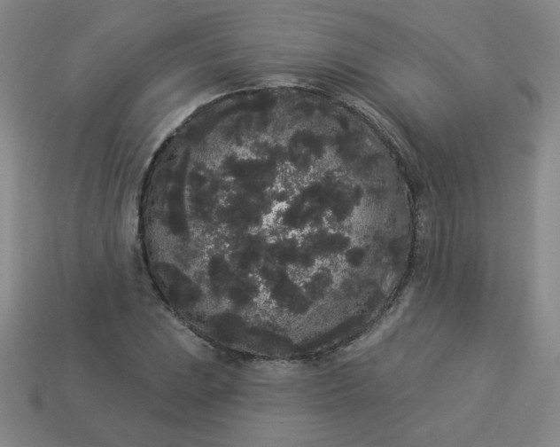 X0000113981023200910161618