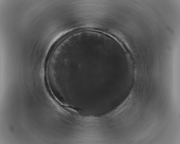 X0000113981024200910161618