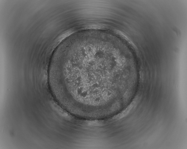 X0000113981025200910161618