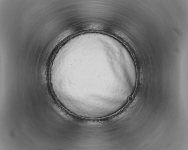 X0000113981026200910161618