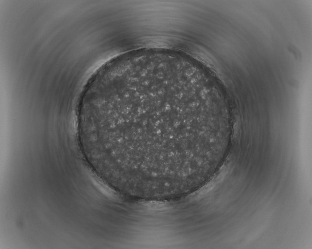 X0000113981027200910161618