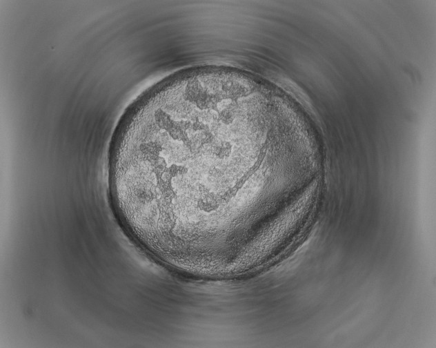 X0000113981028200910161618