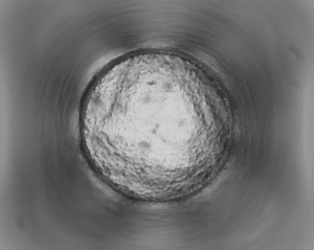 X0000113981030200910161618