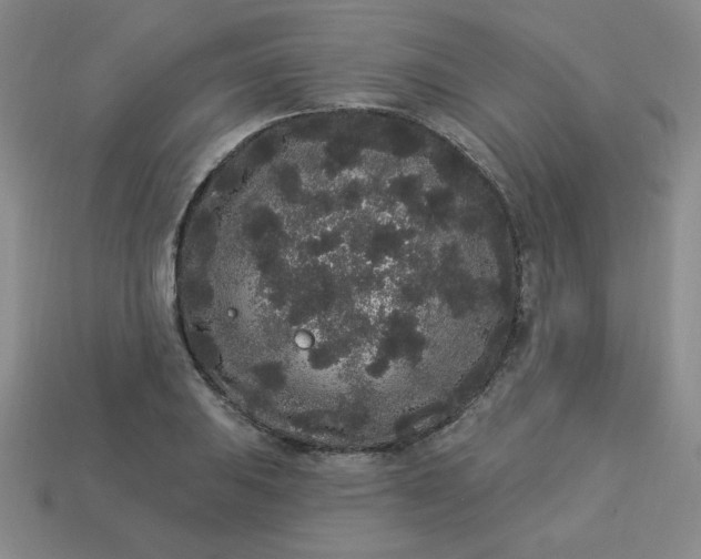 X0000113981031200910161618