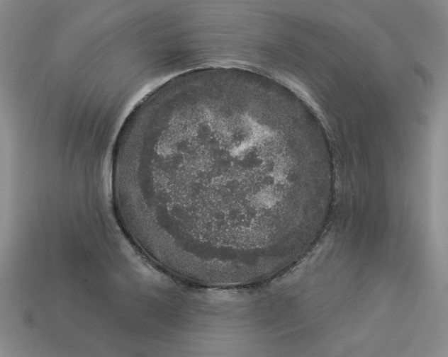 X0000113981032200910161618