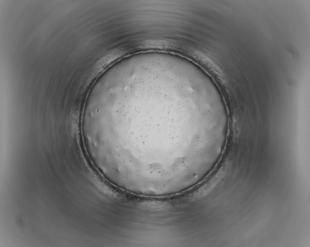 X0000113981033200910161618