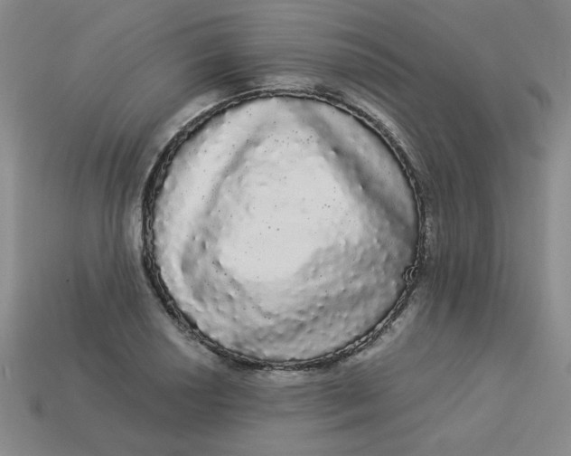 X0000113981034200910161618