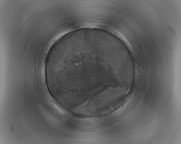 X0000113981035200910161618