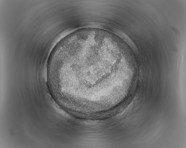 X0000113981036200910161618