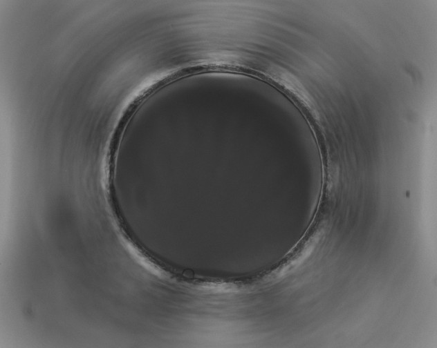 X0000113981037200910161618