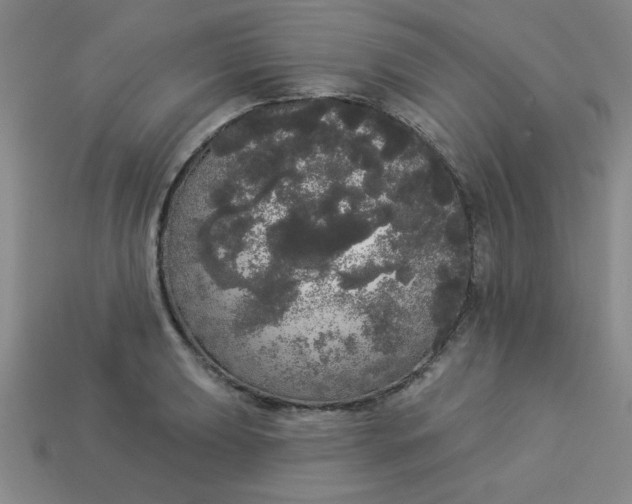 X0000113981039200910161618