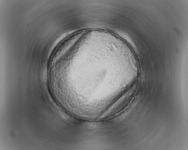 X0000113981040200910161618