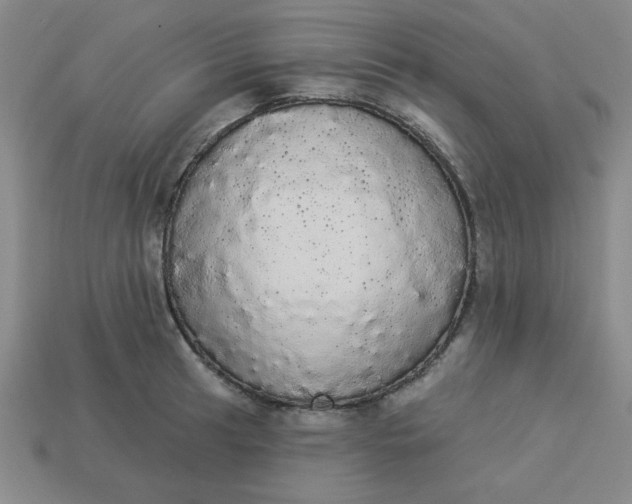 X0000113981041200910161618