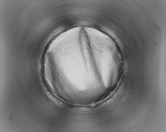 X0000113981042200910161618