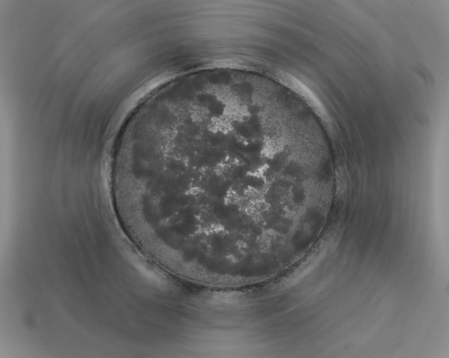 X0000113981043200910161618