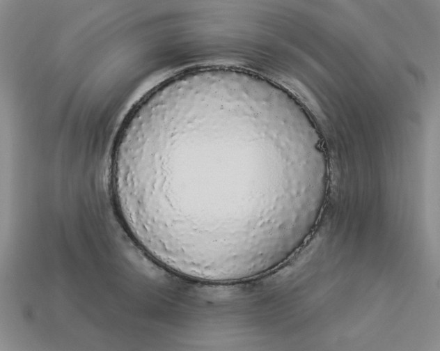 X0000113981044200910161618