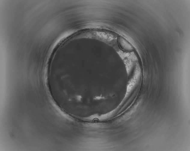 X0000113981045200910161618