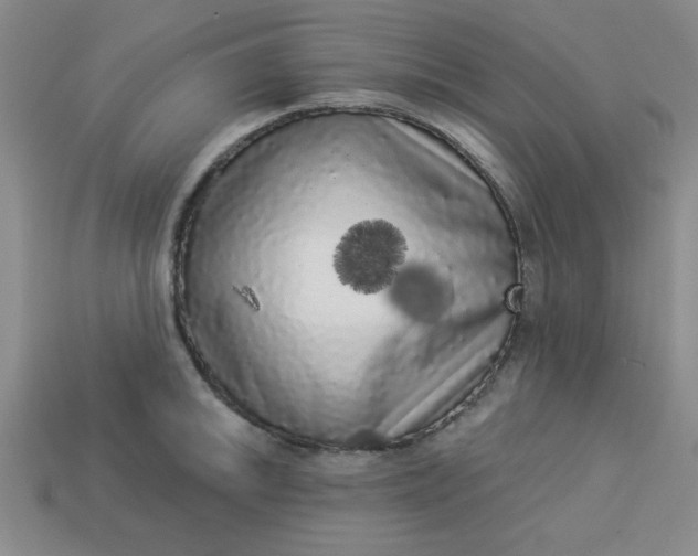 X0000113981046200910161618