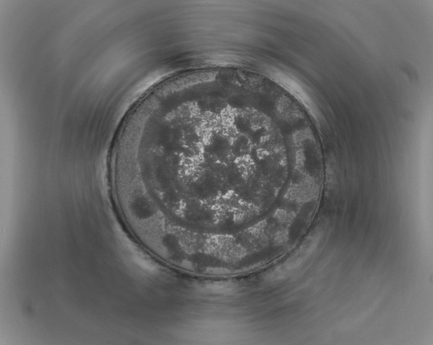 X0000113981047200910161618