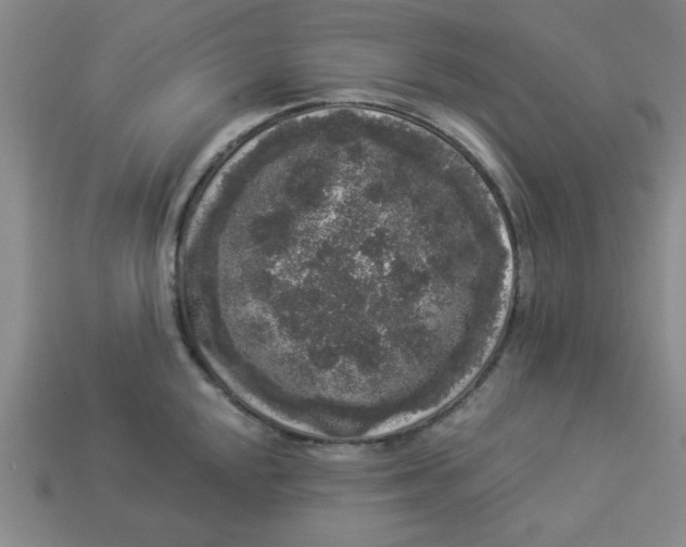 X0000113981048200910161618