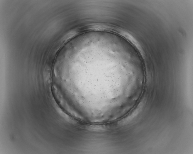 X0000113981049200910161618