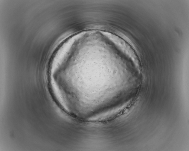 X0000113981050200910161618