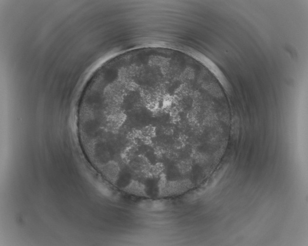 X0000113981051200910161618