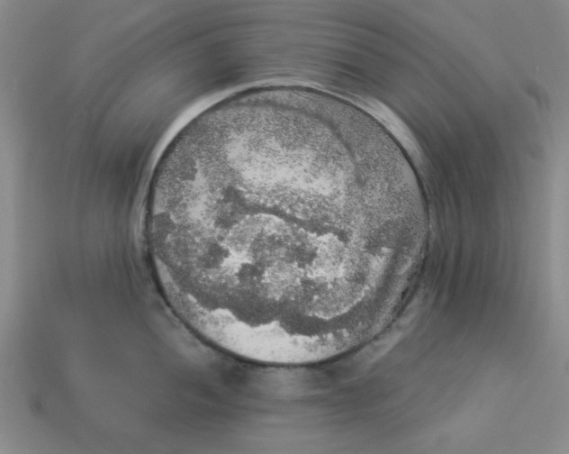 X0000113981052200910161618