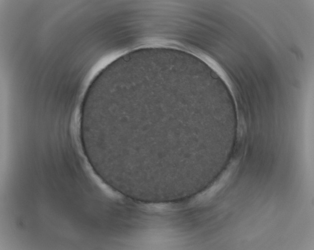 X0000113981053200910161618