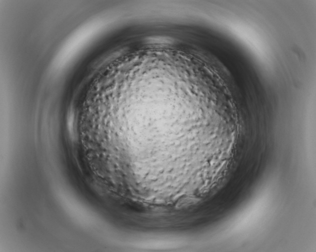 X0000113981054200910161618