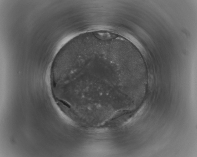 X0000113981055200910161618