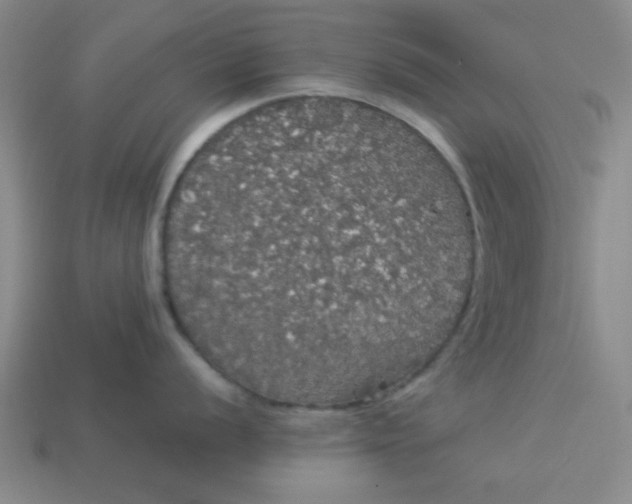 X0000113981056200910161618