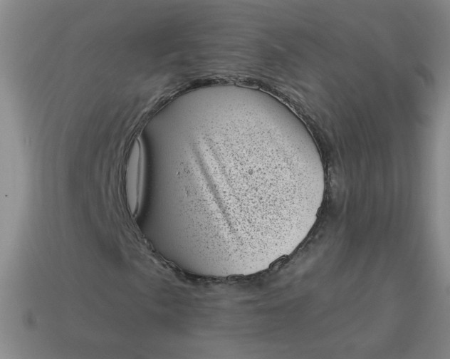 X0000113981057200910161618