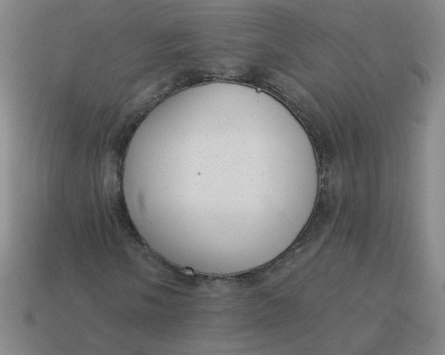 X0000113981058200910161618