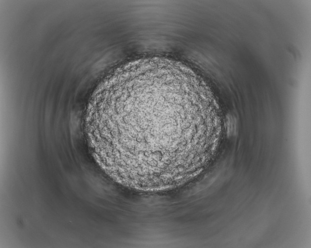 X0000113981059200910161618